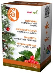 Igihaljaste taimede sügisväetis Baltic Agro, 1kg цена и информация | Рассыпчатые удобрения | kaup24.ee