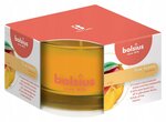 Ароматическая свеча Bolsius True Scents, 5x8 см, манго