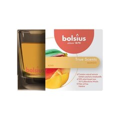 Bolsius lõhnaküünal True Scents, 6,3x9 cm, mango hind ja info | Küünlad, küünlajalad | kaup24.ee