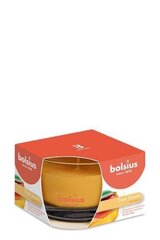 Ароматическая свеча Bolsius True Scents, 6,3x9 см, манго цена и информация | Подсвечники, свечи | kaup24.ee