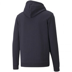 Meeste džemper Puma Fussball Street Hoody Parisian, sinine hind ja info | Meeste pusad | kaup24.ee