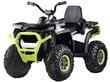 Laste ühekohaline ATV "QUAD 4x4", valge цена и информация | Laste elektriautod | kaup24.ee