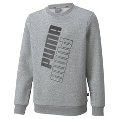 Poiste vabaaja kampsun Puma Power Logo Crew FL B, hall цена и информация | Свитеры, жилетки, пиджаки для мальчиков | kaup24.ee