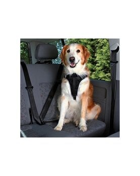 Auto turvavöö koertele Trixie hind ja info | Reisimise tarvikud | kaup24.ee