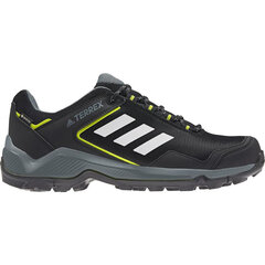 Беговые кроссовки для взрослых Adidas EASTRAIL GTX FX4621, размер обуви - 42, S2019757 цена и информация | Кроссовки для мужчин | kaup24.ee