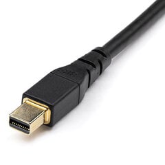 Minikaabel Startech DisplayPort, 1 m цена и информация | Кабели и провода | kaup24.ee