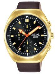 Мужские часы Pulsar PM3094X1 цена и информация | Мужские часы | kaup24.ee