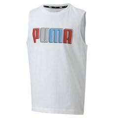 Poiste T-särk Puma Celebration Boys SL Tee White 59854402 59854402, valge цена и информация | Рубашки для мальчиков | kaup24.ee