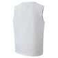 Poiste T-särk Puma Celebration Boys SL Tee White 59854402 59854402, valge цена и информация | Poiste särgid | kaup24.ee