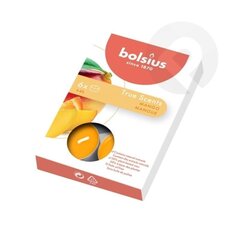 Bolsius teeküünlad True Scents, 6 tk., mango hind ja info | Küünlad, küünlajalad | kaup24.ee