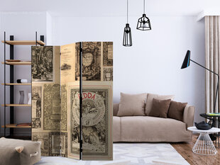 Ruumijaotur - Vintage Books [Room Dividers] hind ja info | Sirmid ja vaheseinad | kaup24.ee