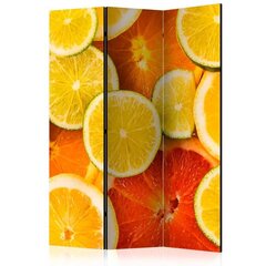 Ruumijaotur - Citrus fruits [Room Dividers] hind ja info | Sirmid ja vaheseinad | kaup24.ee