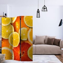 Ruumijaotur - Citrus fruits [Room Dividers] hind ja info | Sirmid ja vaheseinad | kaup24.ee