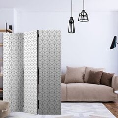 Ruumijaotur - Cubes - texture [Room Dividers] hind ja info | Sirmid ja vaheseinad | kaup24.ee