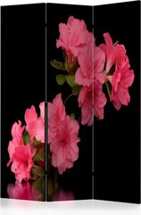 Ruumijaotur - Azalea in Black [Room Dividers] hind ja info | Sirmid ja vaheseinad | kaup24.ee