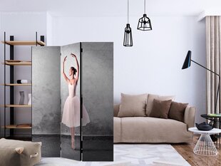 Ruumijaotur - Ballerina in Degas paintings style [Room Dividers] hind ja info | Sirmid ja vaheseinad | kaup24.ee