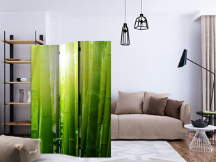 Ruumijaotur - Sun and bamboo [Room Dividers] hind ja info | Sirmid ja vaheseinad | kaup24.ee