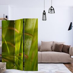Ruumijaotur - bamboo - nature zen [Room Dividers] hind ja info | Sirmid ja vaheseinad | kaup24.ee