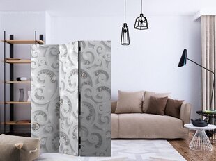 Ruumijaotur - Abstract Glamor [Room Dividers] hind ja info | Sirmid ja vaheseinad | kaup24.ee