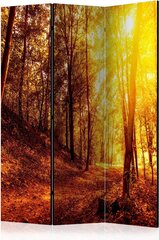 Ruumijaotur - Autumn Walk [Room Dividers] hind ja info | Sirmid ja vaheseinad | kaup24.ee