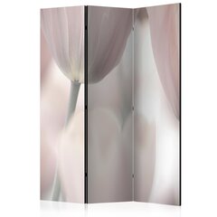 Ruumijaotur - Tulips fine art - black and white [Room Dividers] hind ja info | Sirmid ja vaheseinad | kaup24.ee