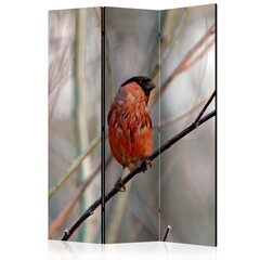 Ruumijaotur - Bullfinch in the forest [Room Dividers] hind ja info | Sirmid ja vaheseinad | kaup24.ee