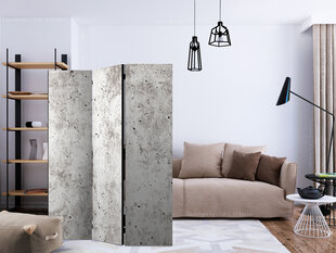 Ruumijaotur - Urban Style: Concrete [Room Dividers] hind ja info | Sirmid ja vaheseinad | kaup24.ee