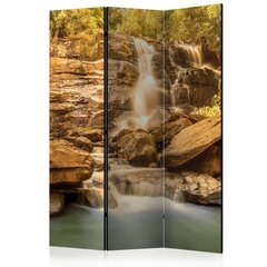 Ширма - Sunny Waterfall [Комнатные перегородки] цена и информация | Мобильные стенки | kaup24.ee