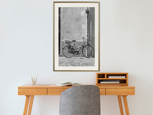 Poster - Bicycle with Black Tires hind ja info | Seinapildid | kaup24.ee