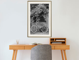 Poster - Bicycle with White Tires hind ja info | Seinapildid | kaup24.ee