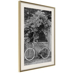 Poster - Bicycle with White Tires hind ja info | Seinapildid | kaup24.ee