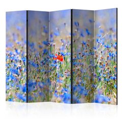 Ruumijaotur - A sky-colored meadow - cornflowers II [Room Dividers] hind ja info | Sirmid ja vaheseinad | kaup24.ee