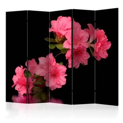 Ruumijaotur - Azalea in Black II [Room Dividers] hind ja info | Sirmid ja vaheseinad | kaup24.ee