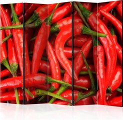 Ruumijaotur - chili pepper - background II [Room Dividers] hind ja info | Sirmid ja vaheseinad | kaup24.ee