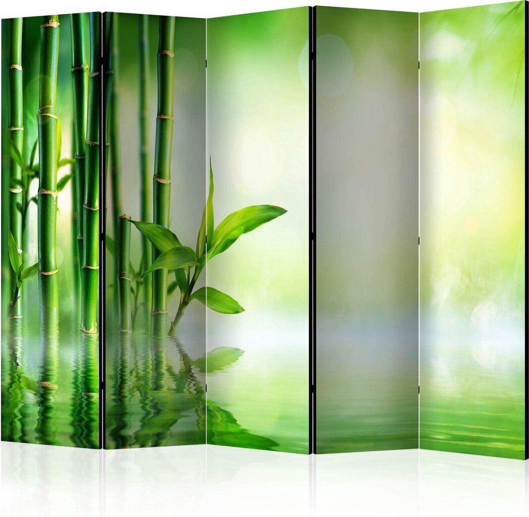 Ruumijaotur - Bamboo Grove II [Room Dividers] hind ja info | Sirmid ja vaheseinad | kaup24.ee