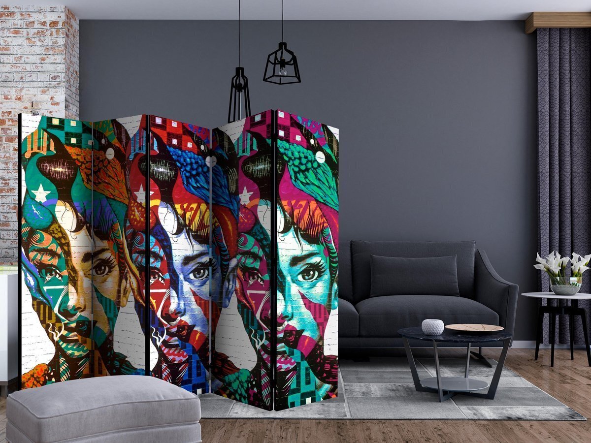 Ruumijaotur - Colorful Faces II [Room Dividers] цена и информация | Sirmid ja vaheseinad | kaup24.ee