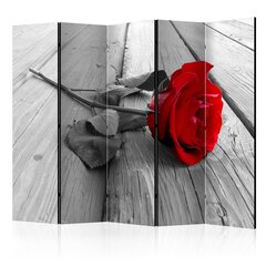 Ruumijaotur - Abandoned Rose II [Room Dividers] hind ja info | Sirmid ja vaheseinad | kaup24.ee