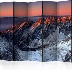 Ruumijaotur - Beautiful sunrise in the Rocky Mountains II [Room Dividers] hind ja info | Sirmid ja vaheseinad | kaup24.ee