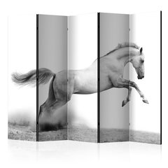 Ruumijaotur - White gallop II [Room Dividers] hind ja info | Sirmid ja vaheseinad | kaup24.ee