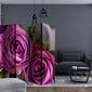 Ruumijaotur - Bunch of lila flowers II [Room Dividers] hind ja info | Sirmid ja vaheseinad | kaup24.ee
