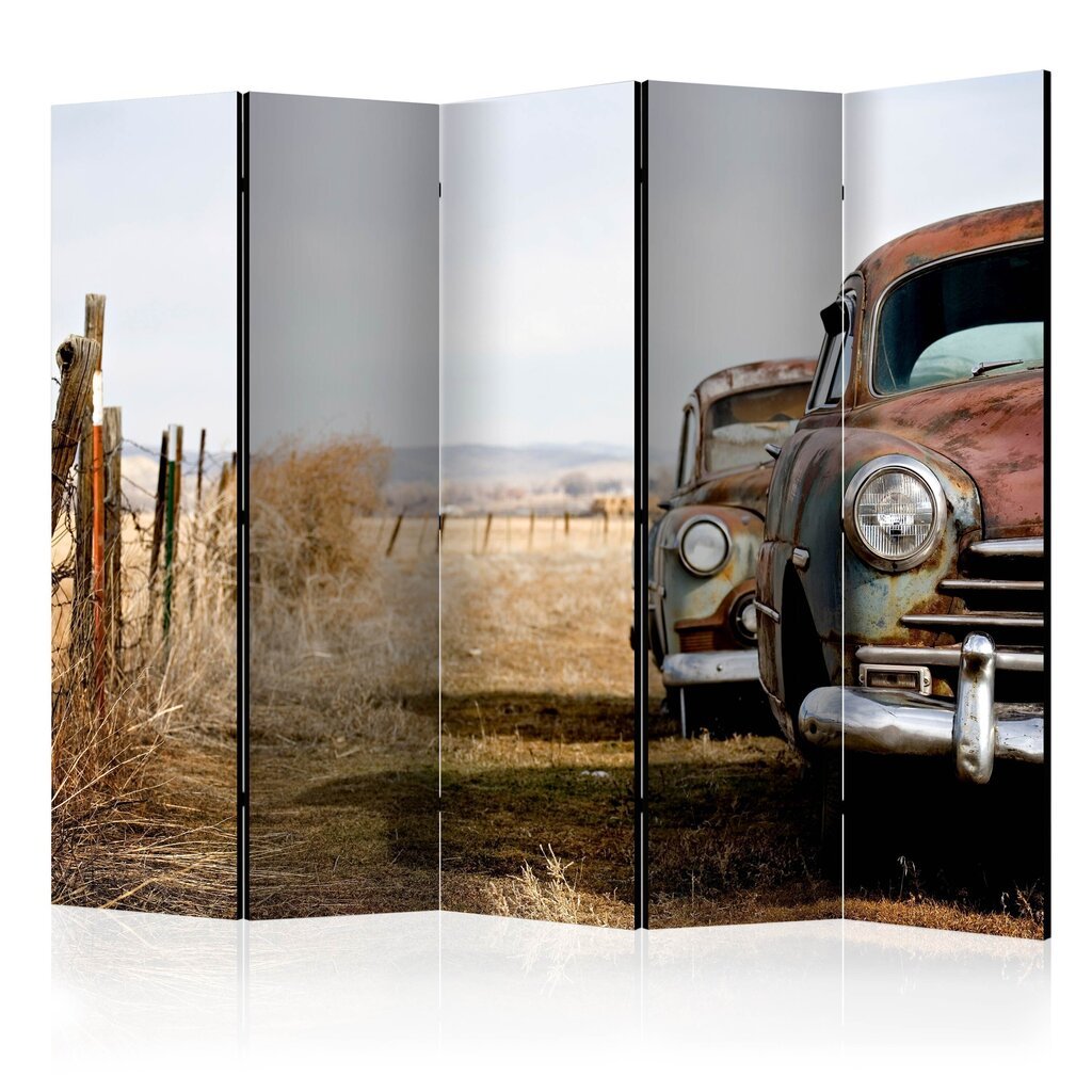 Ruumijaotur - Two old, American cars II [Room Dividers] цена и информация | Sirmid ja vaheseinad | kaup24.ee