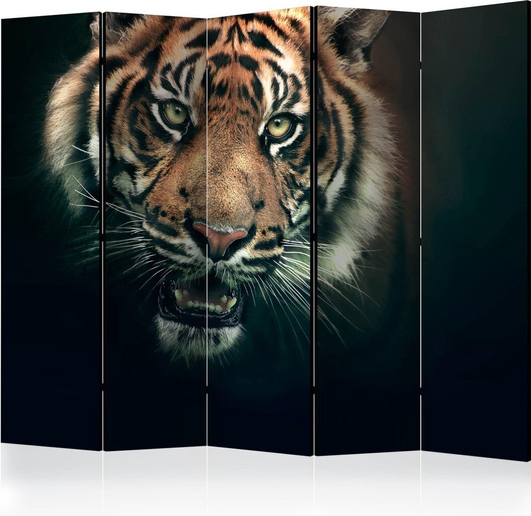 Ruumijaotur - Bengal Tiger II [Room Dividers] hind ja info | Sirmid ja vaheseinad | kaup24.ee