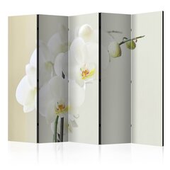 Ширма - White orchid [Комнатные перегородки] цена и информация | Мобильные стенки | kaup24.ee