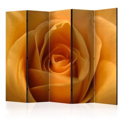 Ruumijaotur - Yellow rose – a symbol of friendship II [Room Dividers] hind ja info | Sirmid ja vaheseinad | kaup24.ee