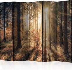 Ruumijaotur - Autumnal Forest II [Room Dividers] hind ja info | Sirmid ja vaheseinad | kaup24.ee