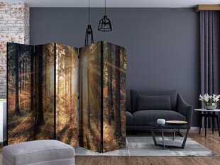 Ruumijaotur - Autumnal Forest II [Room Dividers] hind ja info | Sirmid ja vaheseinad | kaup24.ee