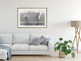 Poster - Black and White Herons hind ja info | Seinapildid | kaup24.ee