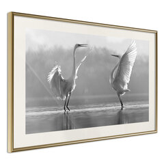 Poster - Black and White Herons hind ja info | Seinapildid | kaup24.ee