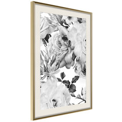 Poster - Black and White Nature hind ja info | Seinapildid | kaup24.ee