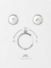 Смеситель скрытого монтажа RUBINETA Thermo-2F цена и информация | Смесители | kaup24.ee
